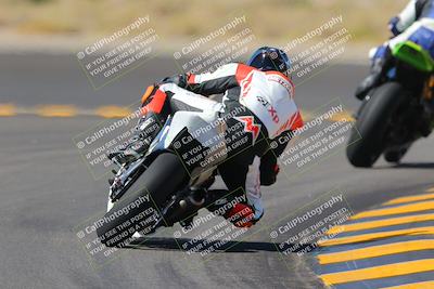 media/Oct-08-2022-SoCal Trackdays (Sat) [[1fc3beec89]]/Turn 11 Backside (1145am)/